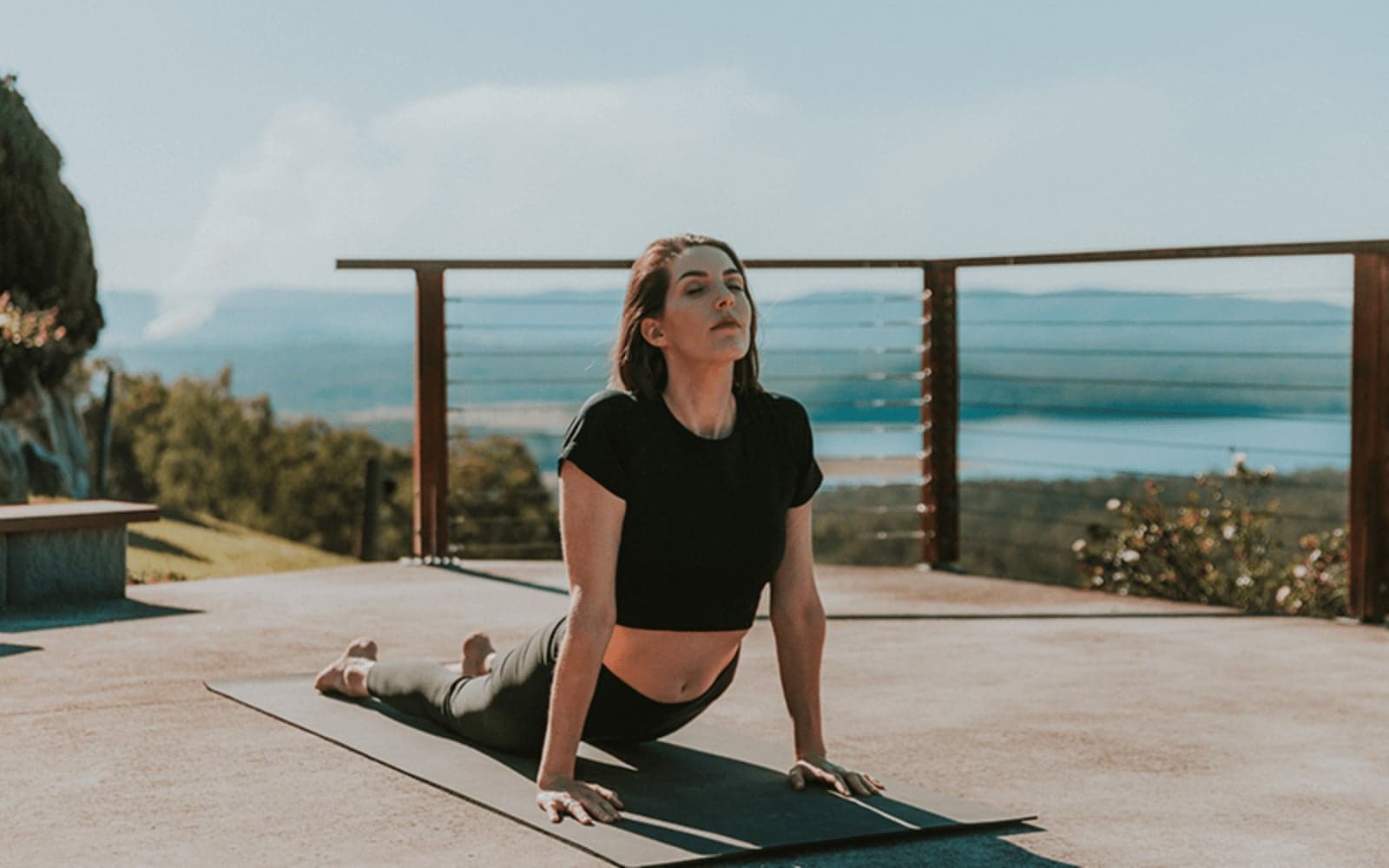 Fitness, Boxing and Martial Arts