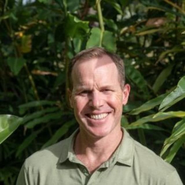 Dr. Dave A